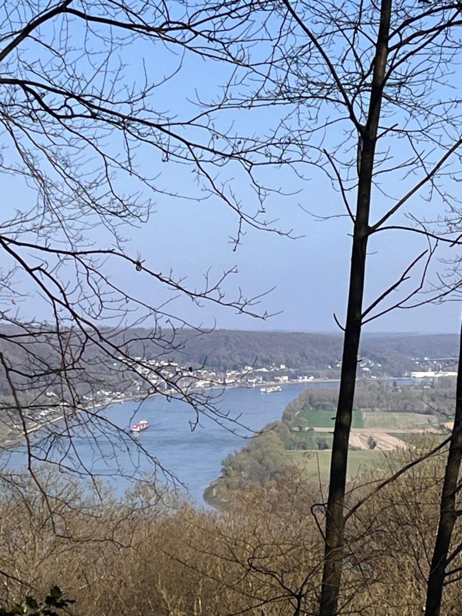 Gite La Fleur De Seine Villequier Esterno foto